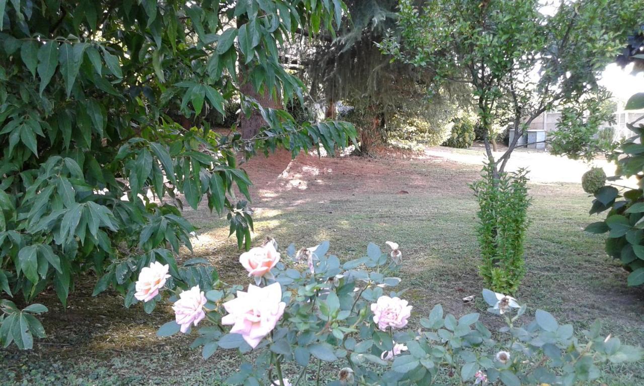 Casnate Con Bernate B&B Villa Mirella מראה חיצוני תמונה
