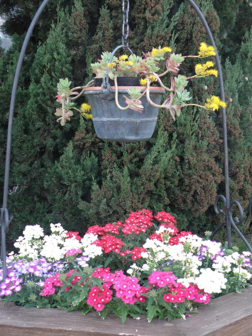 Casnate Con Bernate B&B Villa Mirella מראה חיצוני תמונה